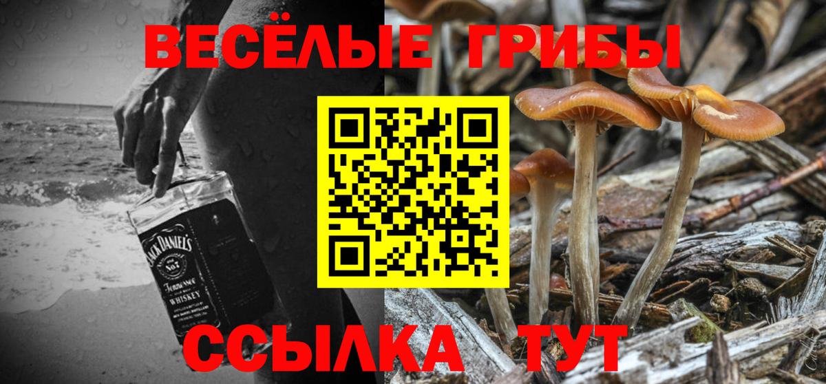 Галлюциногенные грибы мицелий  закладки  Кушва  Вход с VPN 